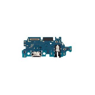 Placa de Carga Samsung A25 4G / A25 5G